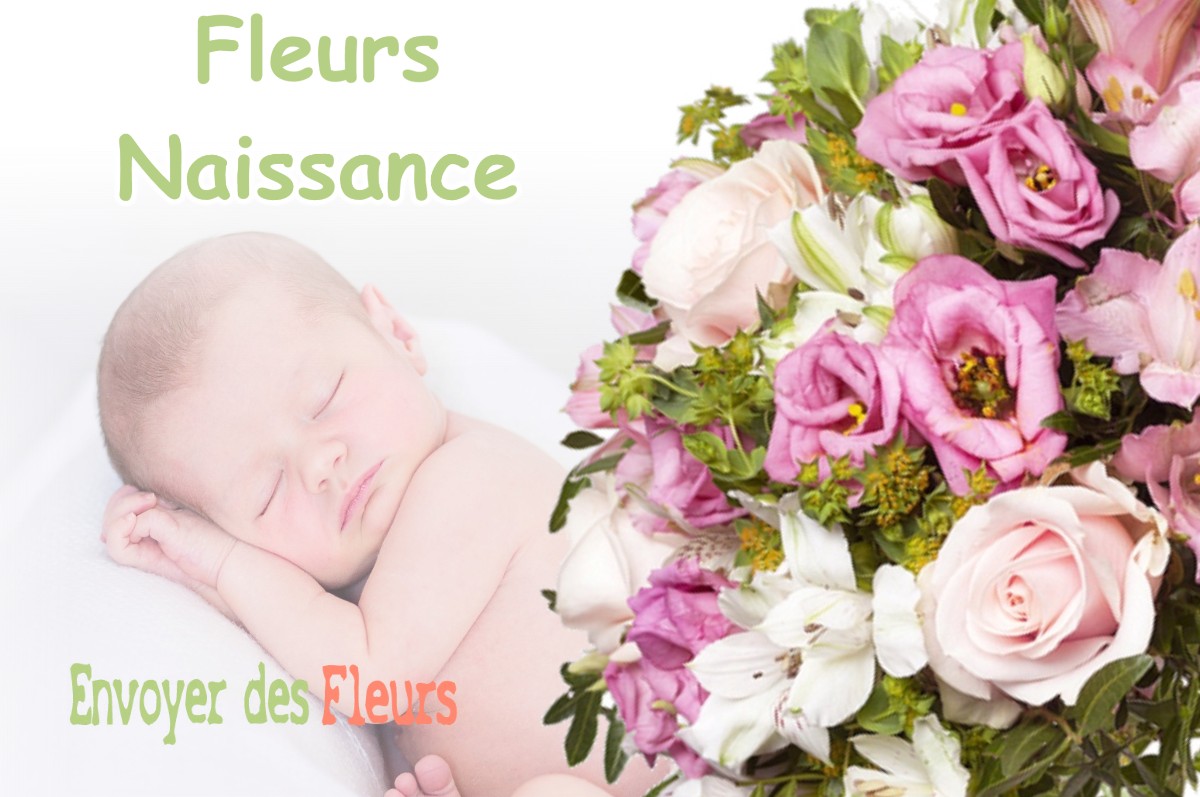 lIVRAISON FLEURS NAISSANCE à LAHAYMEIX